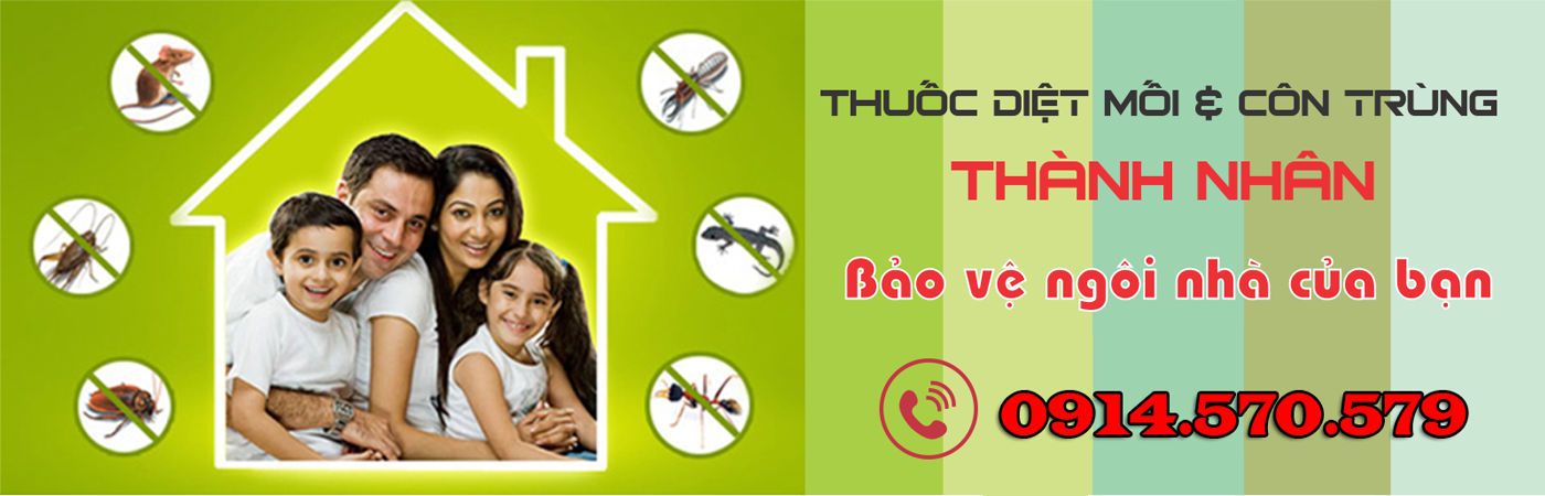 công ty diệt mối quảng ninh